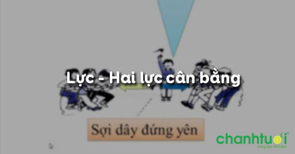 hai-luc-can-bang-la-gi-3